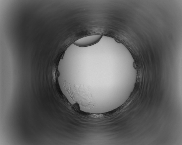 X0000093490334200710121017