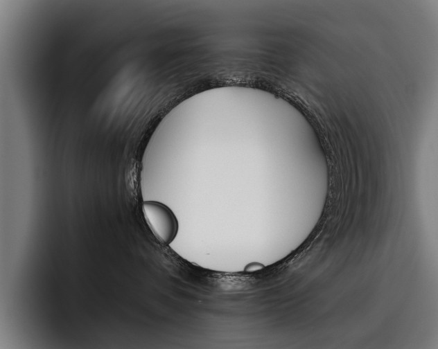 X0000093490336200710121017