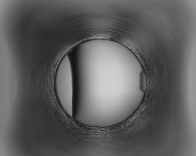 X0000093490337200710121017