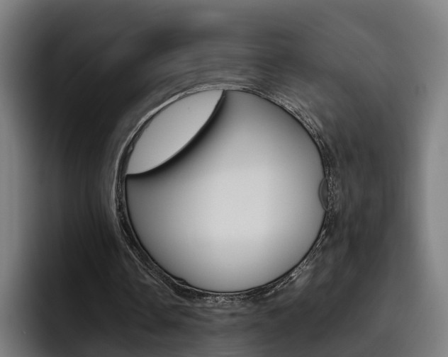 X0000093490338200710121017