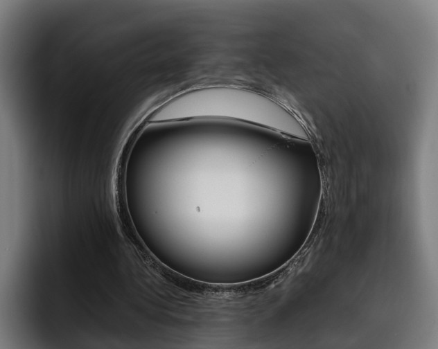 X0000093490340200710121017