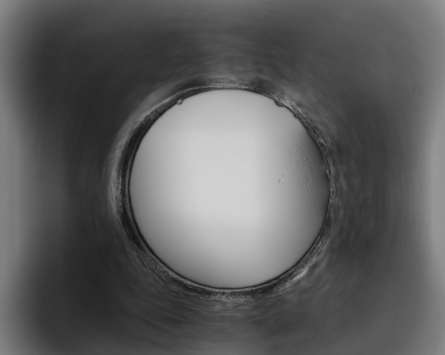 X0000093490343200710121017
