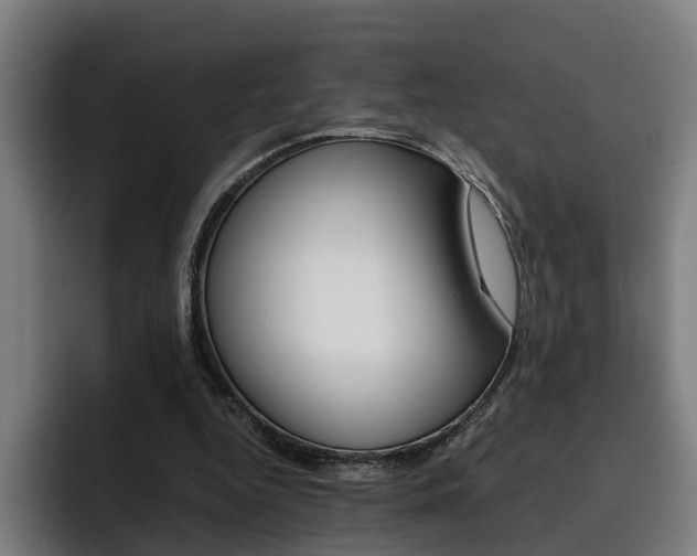 X0000093490344200710121017