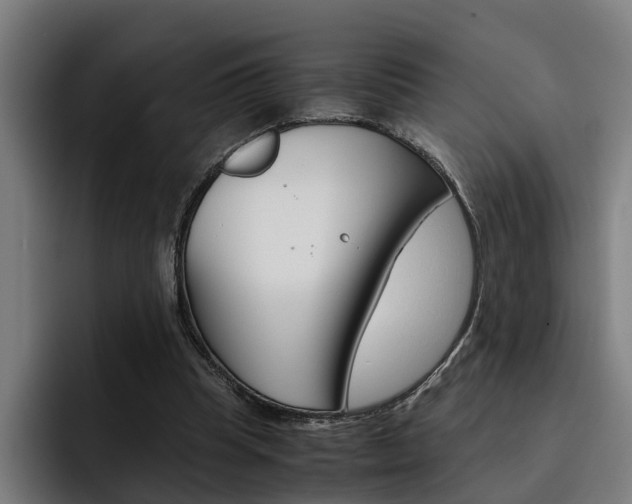 X0000093490345200710121017