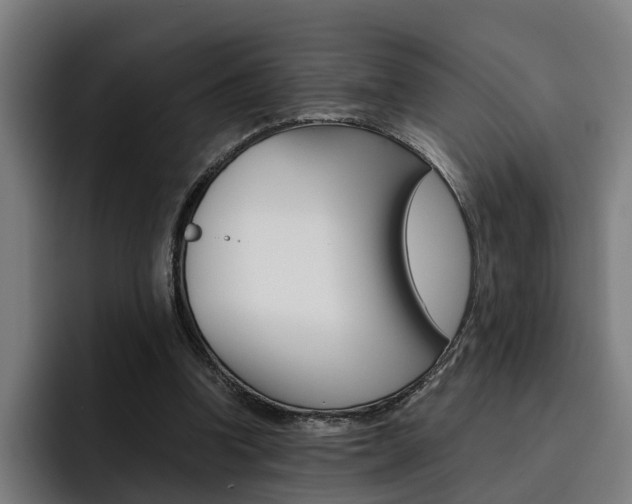 X0000093490346200710121017