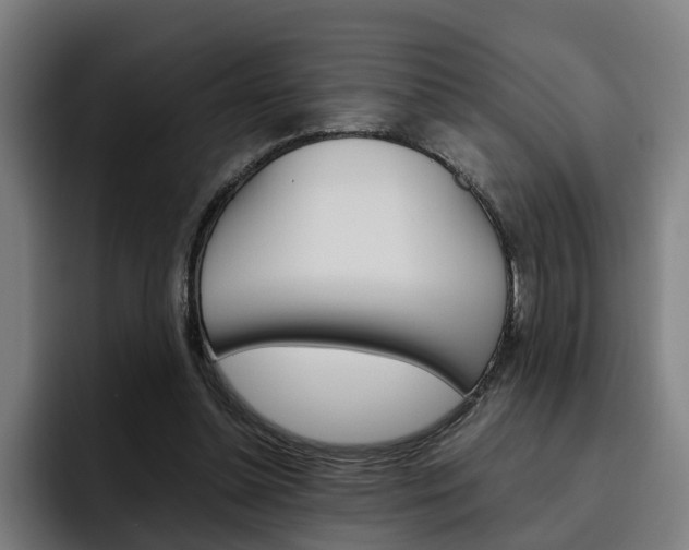 X0000093490348200710121017