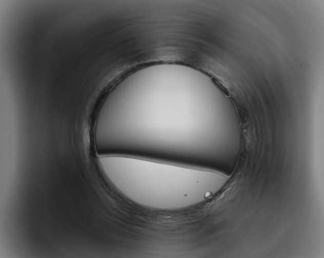 X0000093490350200710121017