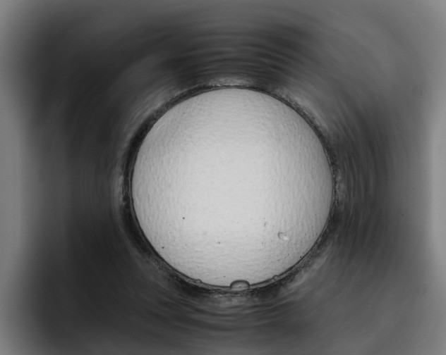 X0000093490351200710121017