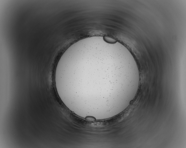 X0000093490353200710121017