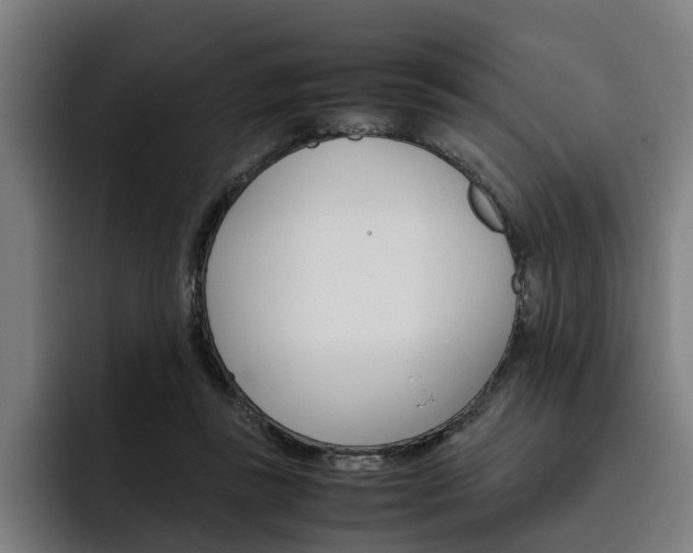 X0000093490355200710121017