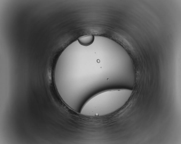 X0000093490358200710121017