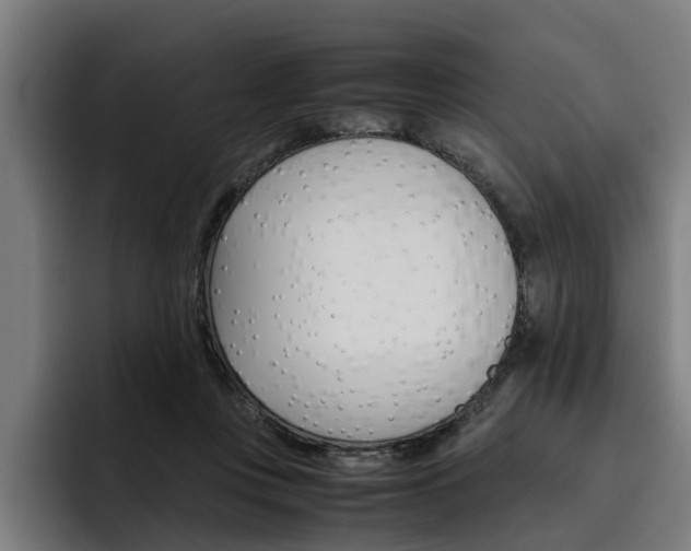 X0000093490359200710121017