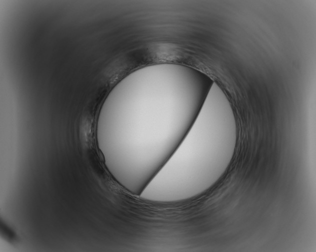 X0000093490360200710121017