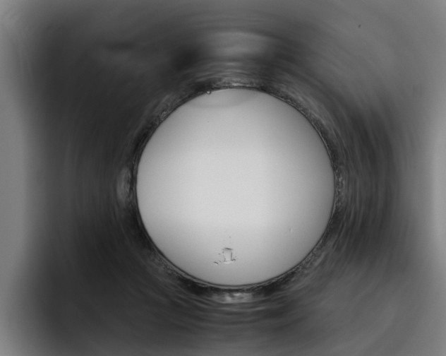 X0000093490361200710121017