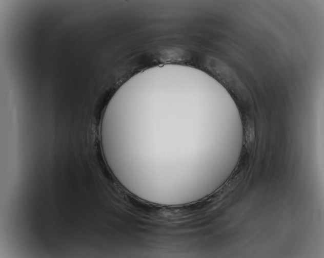 X0000093490367200710121017
