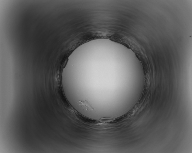X0000093490376200710121017