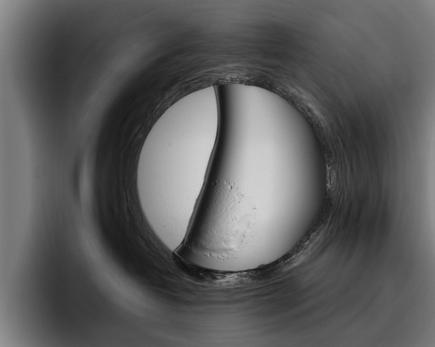 X0000093490382200710121017