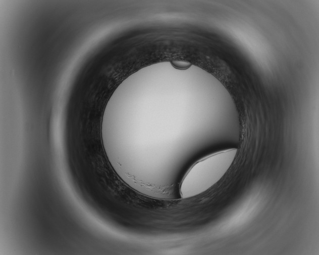 X0000093490383200710121017