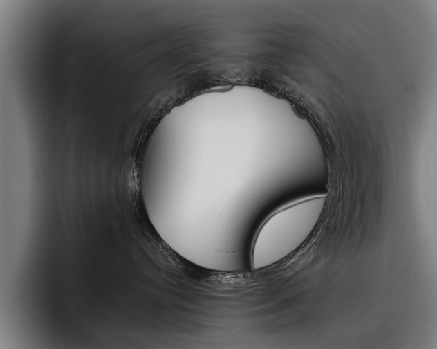 X0000093490384200710121017