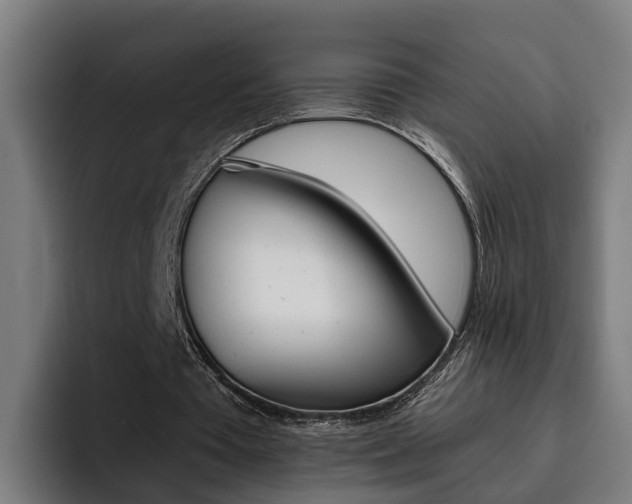 X0000093490385200710121017