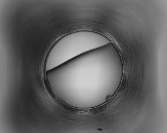 X0000093490386200710121017