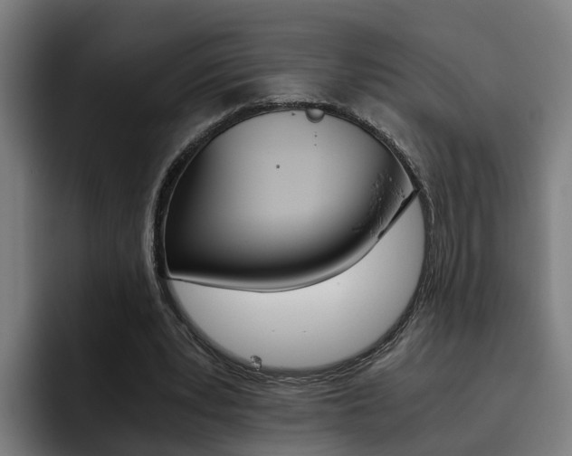 X0000093490391200710121016