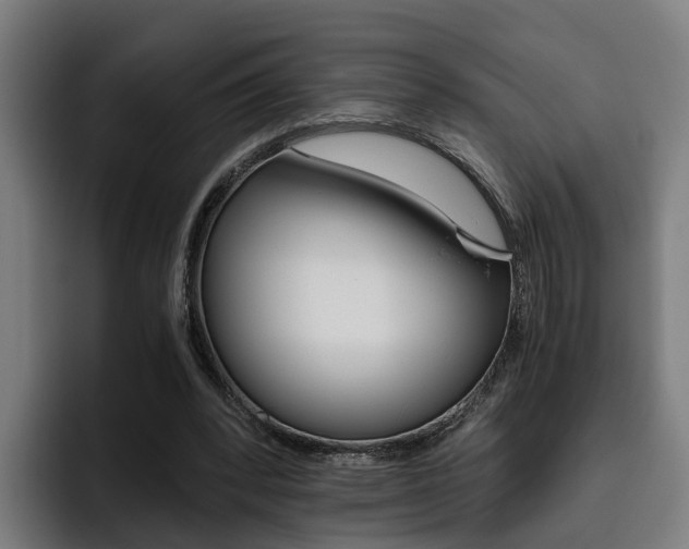 X0000093490392200710121016