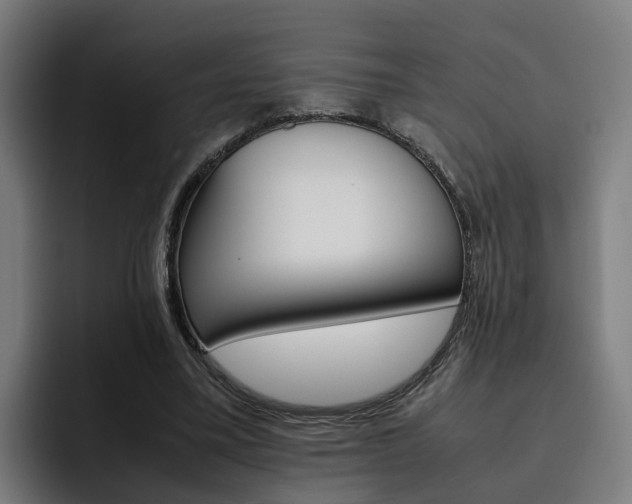 X0000093490395200710121016