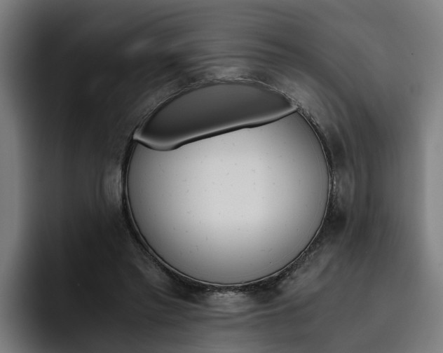 X0000093490397200710121016