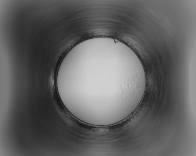 X0000093490398200710121016