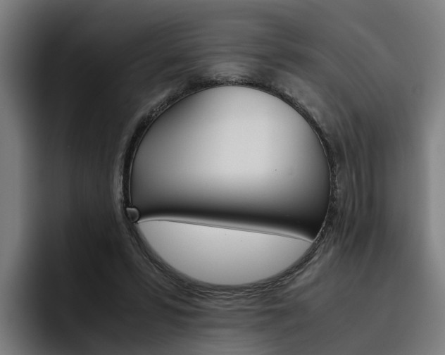 X0000093490399200710121016