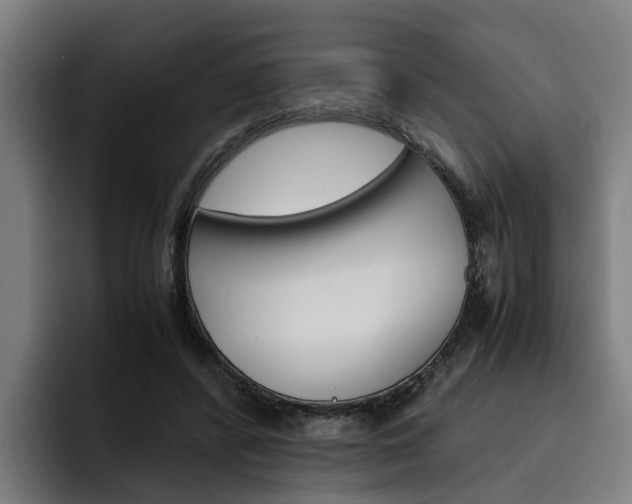 X0000093490400200710121016