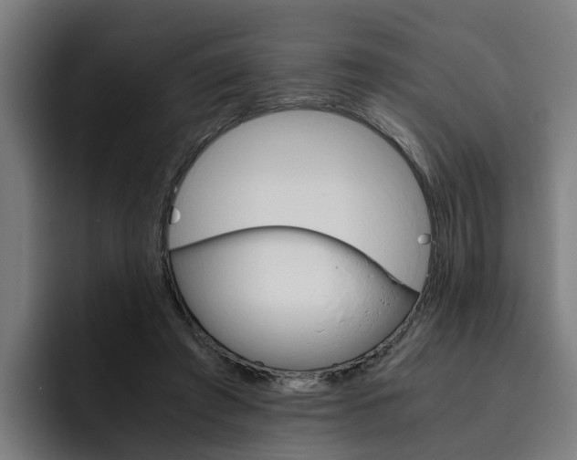 X0000093490401200710121016