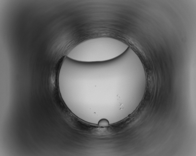 X0000093490406200710121016