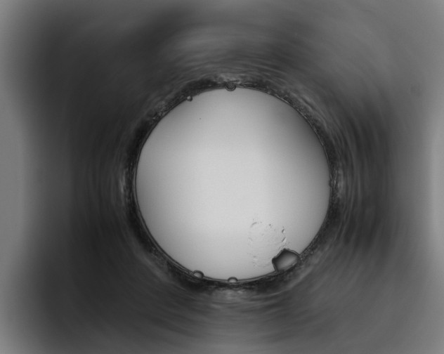 X0000093490408200710121016