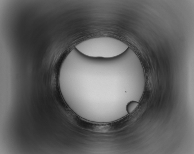 X0000093490410200710121016