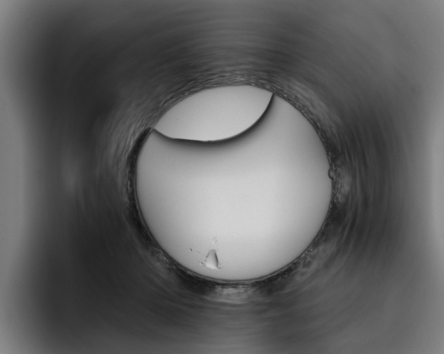 X0000093490414200710121016