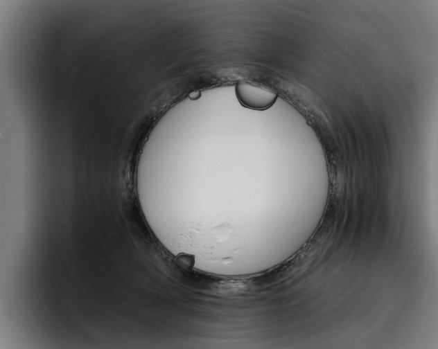 X0000093490418200710121016