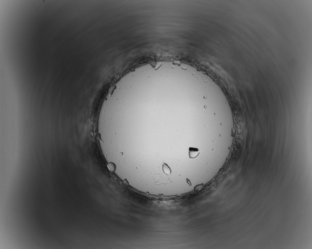 X0000093490419200710121016