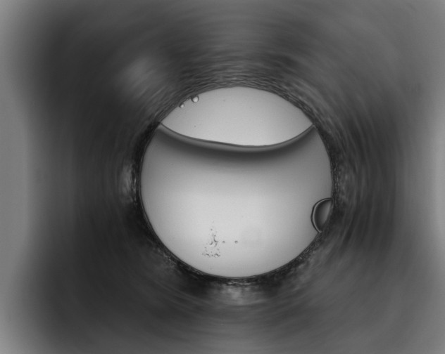 X0000093490420200710121016