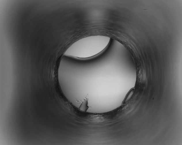 X0000093490424200710121016