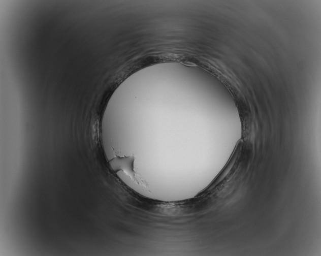 X0000093490425200710121016
