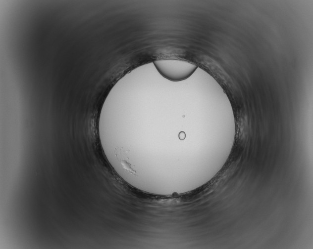 X0000093490426200710121016