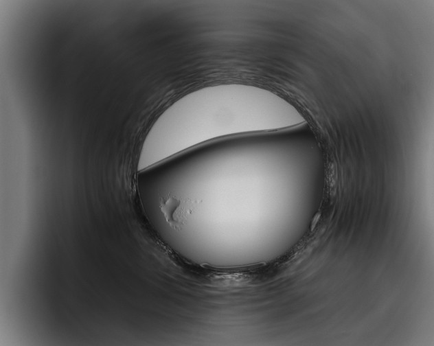 X0000093490428200710121016