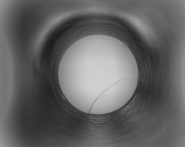 X0000093490431200710121016
