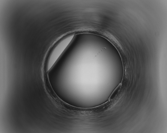 X0000093490436200710121015