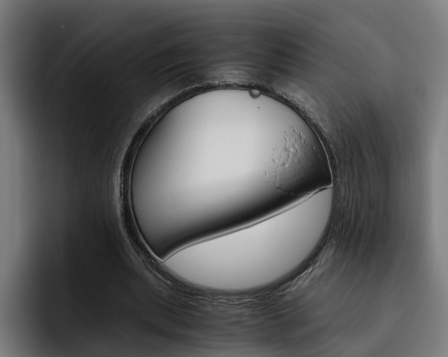 X0000093490439200710121016