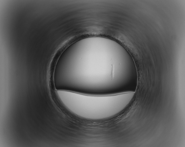 X0000093490440200710121016