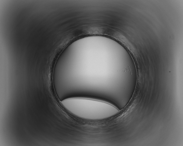 X0000093490441200710121016