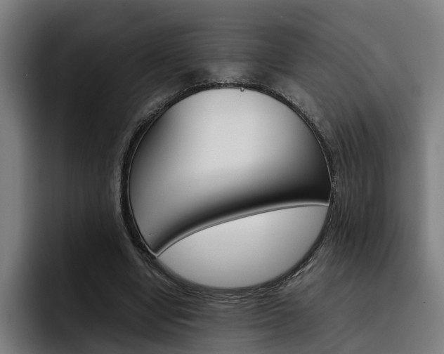X0000093490442200710121016
